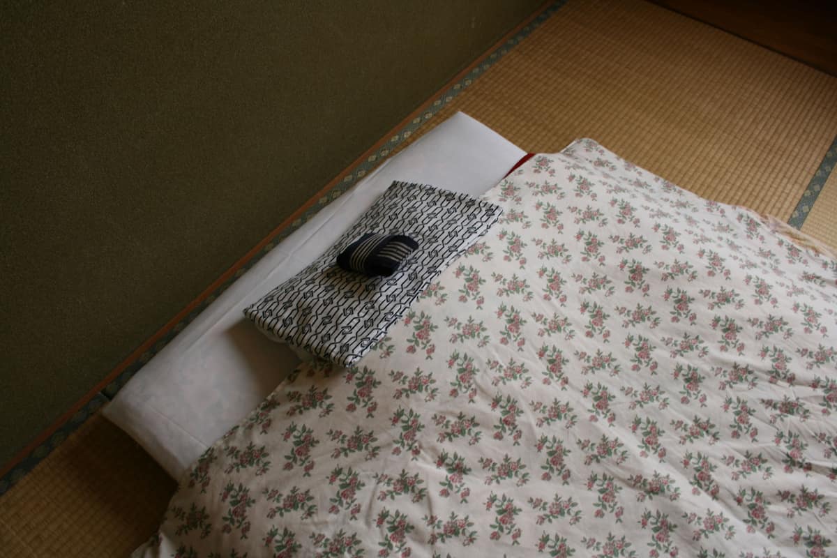 japanese style room, shared bathroom | iron/ironing board, free wifi, bed sheets