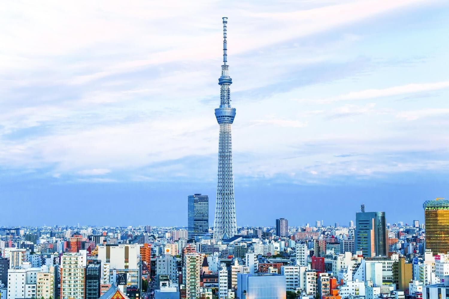 Photo - HOTEL LiVEMAX Asakusa Sky Front