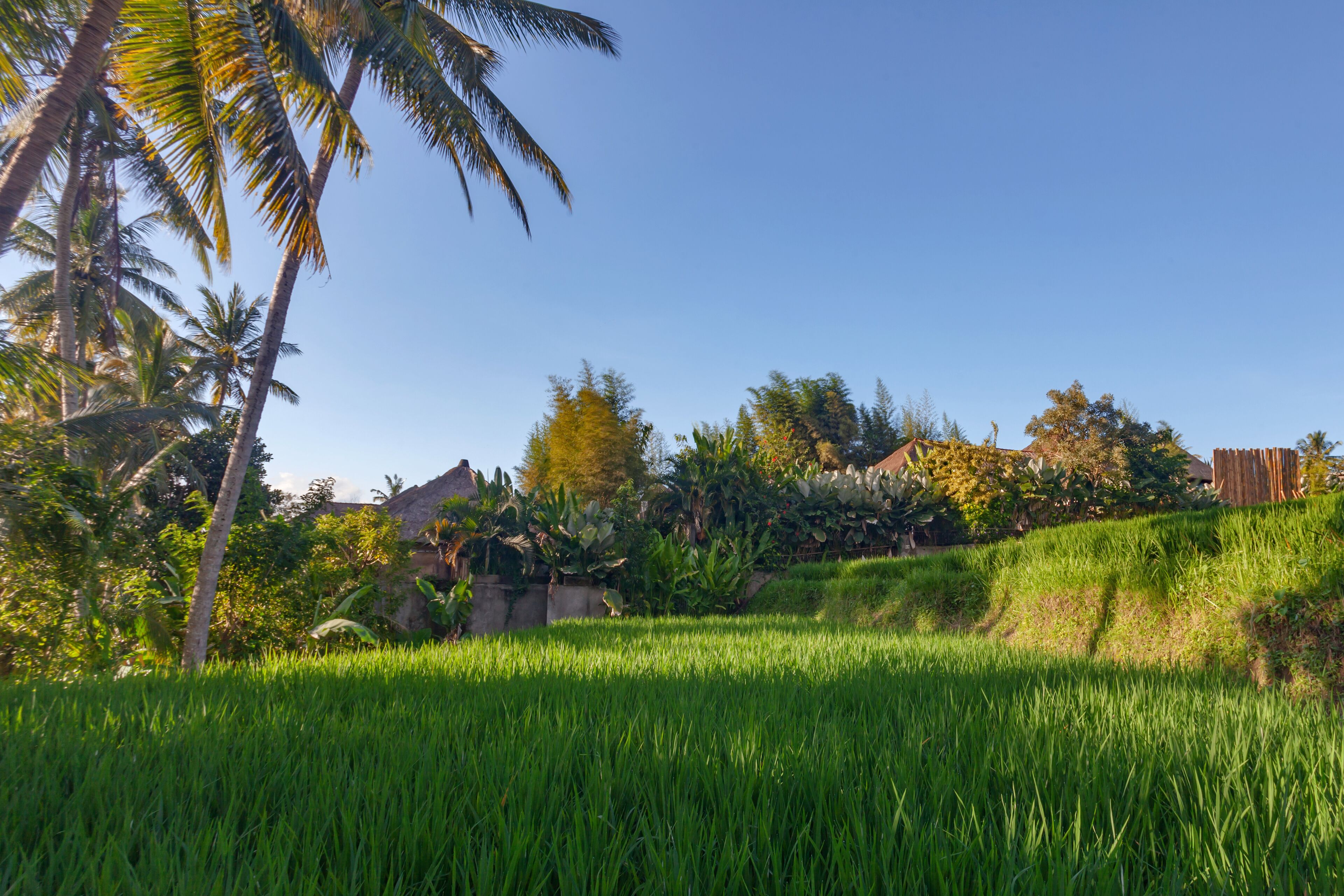 Foto - Anusara Luxury Villas