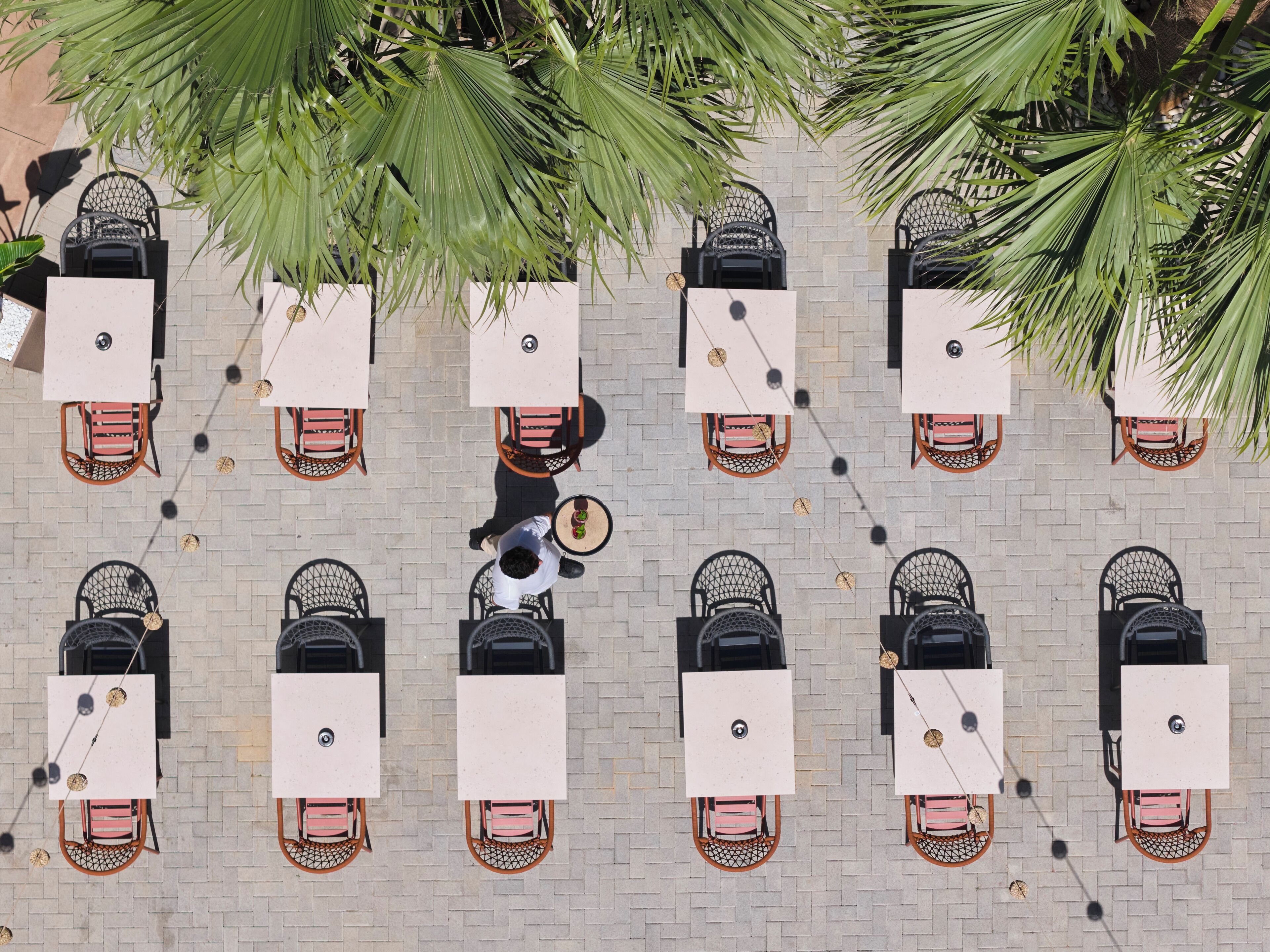 An overhead view of a patio area with tables and chairs arranged in rows, surrounded by palm trees.