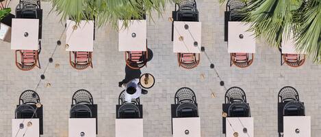 An overhead view of a patio area with tables and chairs arranged in rows, surrounded by palm trees.