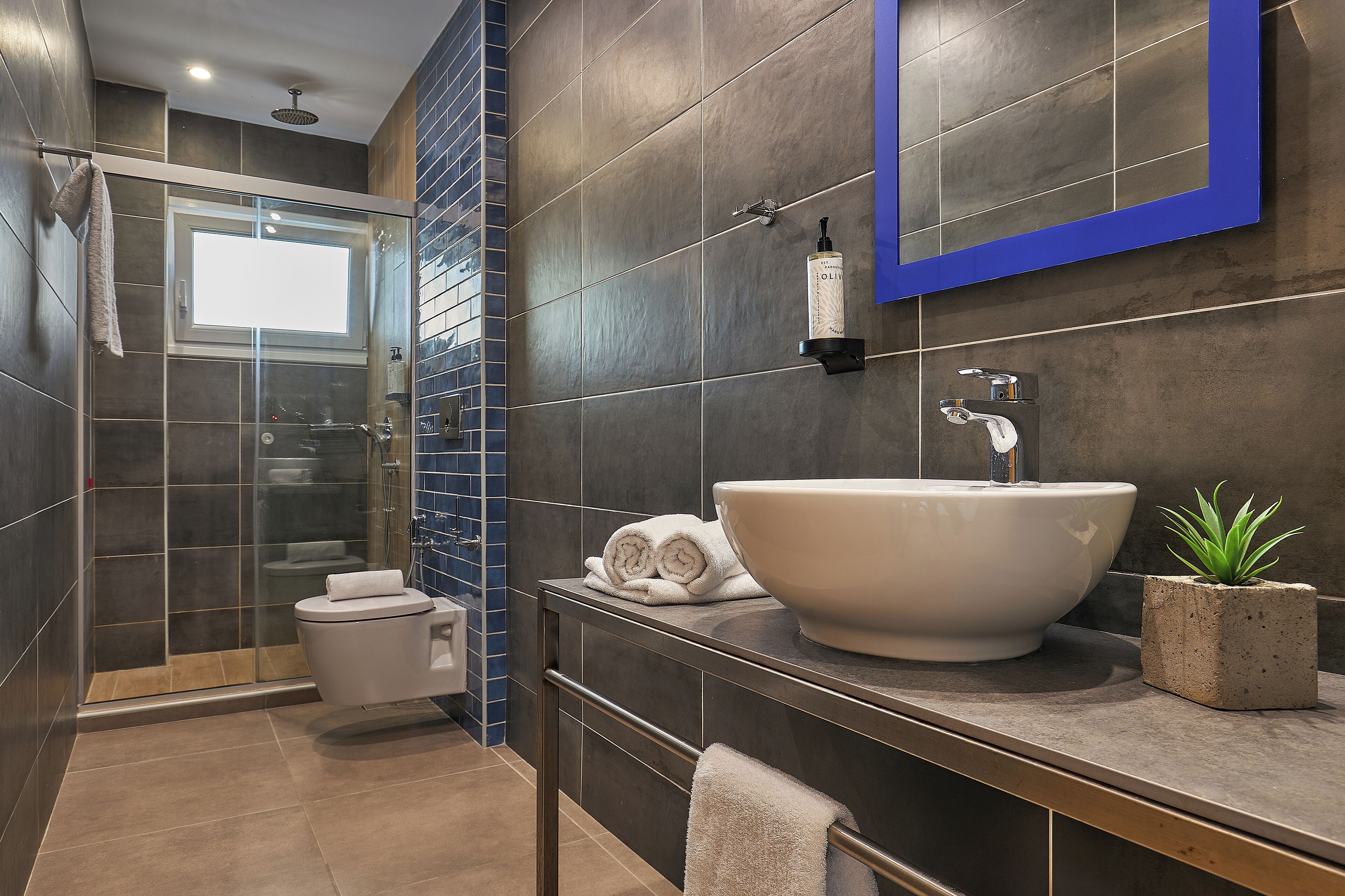 A modern bathroom with a large sink, a glass shower enclosure, and a potted plant.