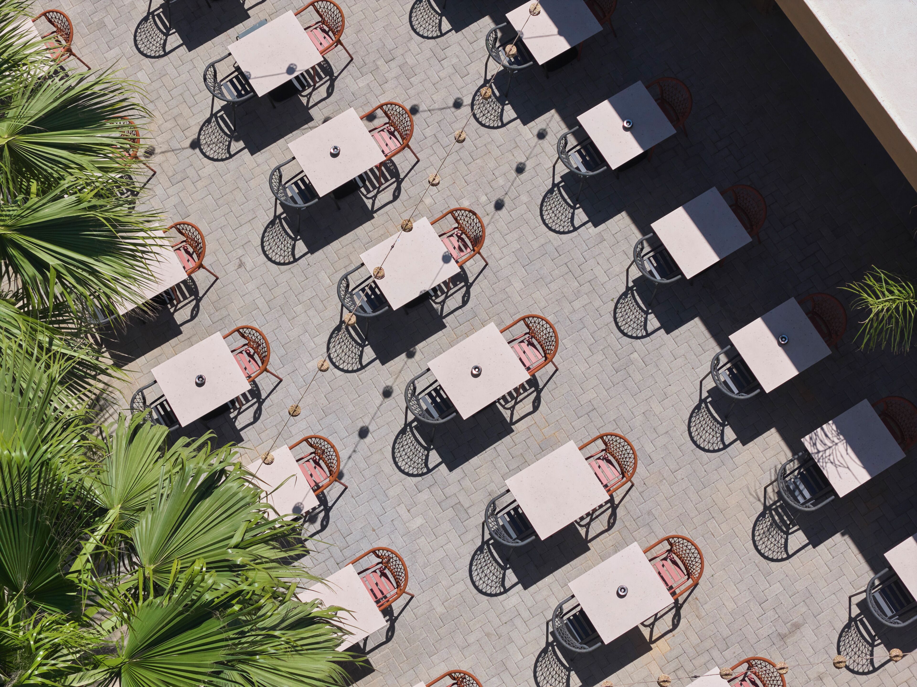 An outdoor seating area with tables and chairs arranged in rows, surrounded by potted plants.