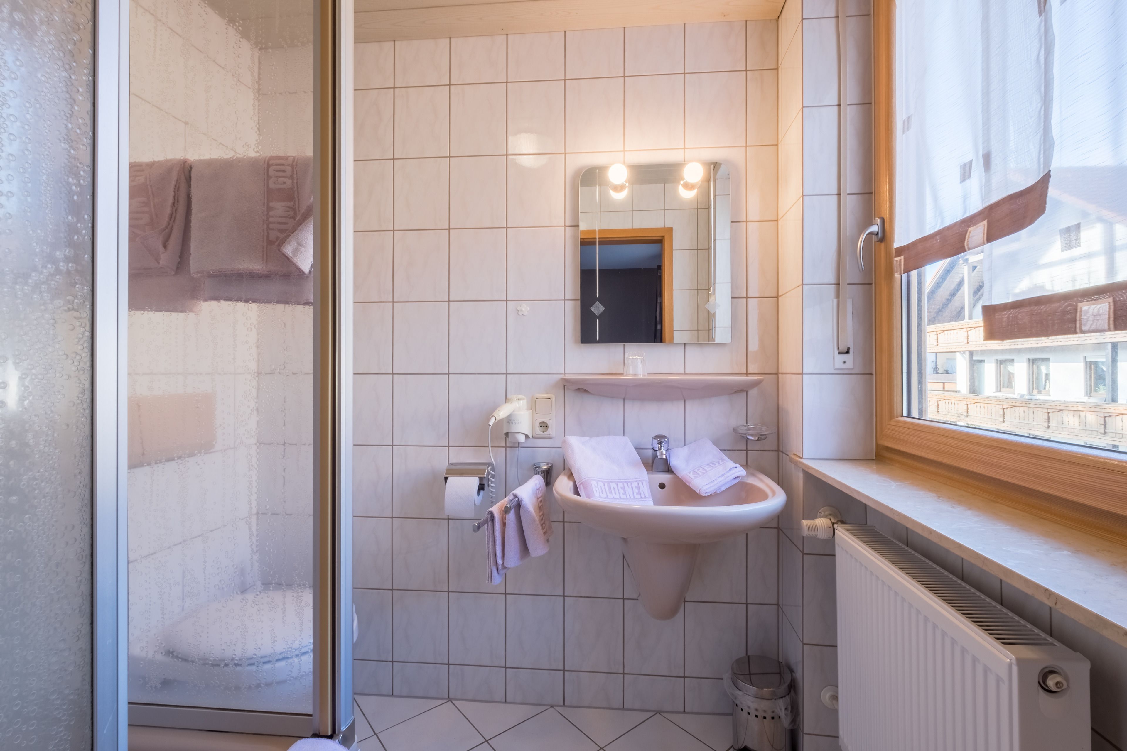 shower, free toiletries, hair dryer, towels