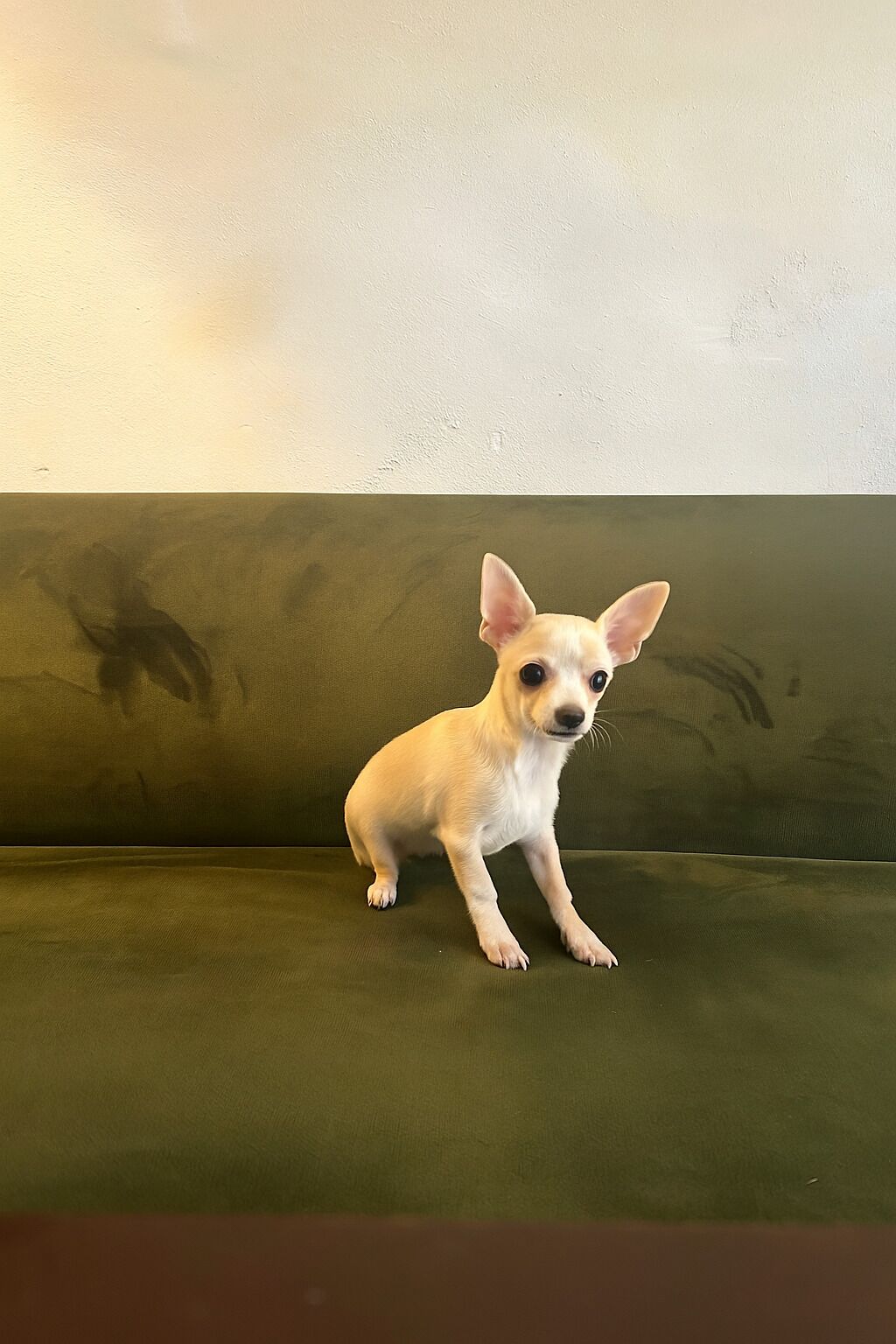 Foto - Bookinn B&B Vilnius' Old Town