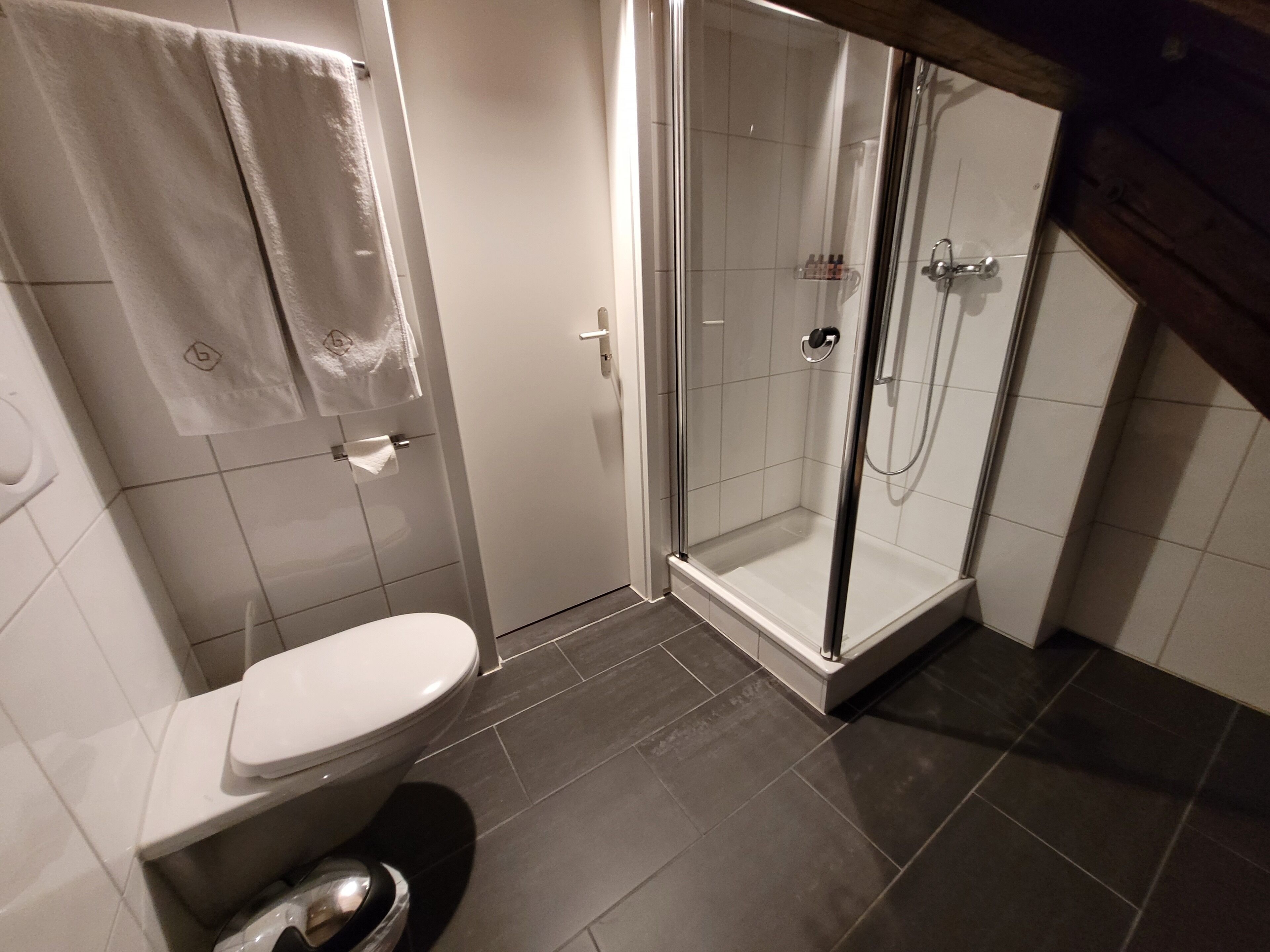 A modern bathroom with a toilet, a shower enclosure, and a towel rack.