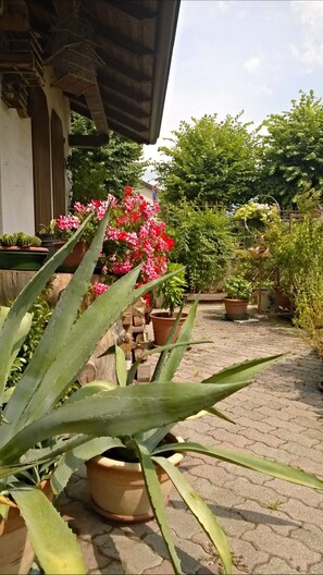 Un patio con plantas en macetas, un camino de ladrillos y un edificio con techo de tejas.