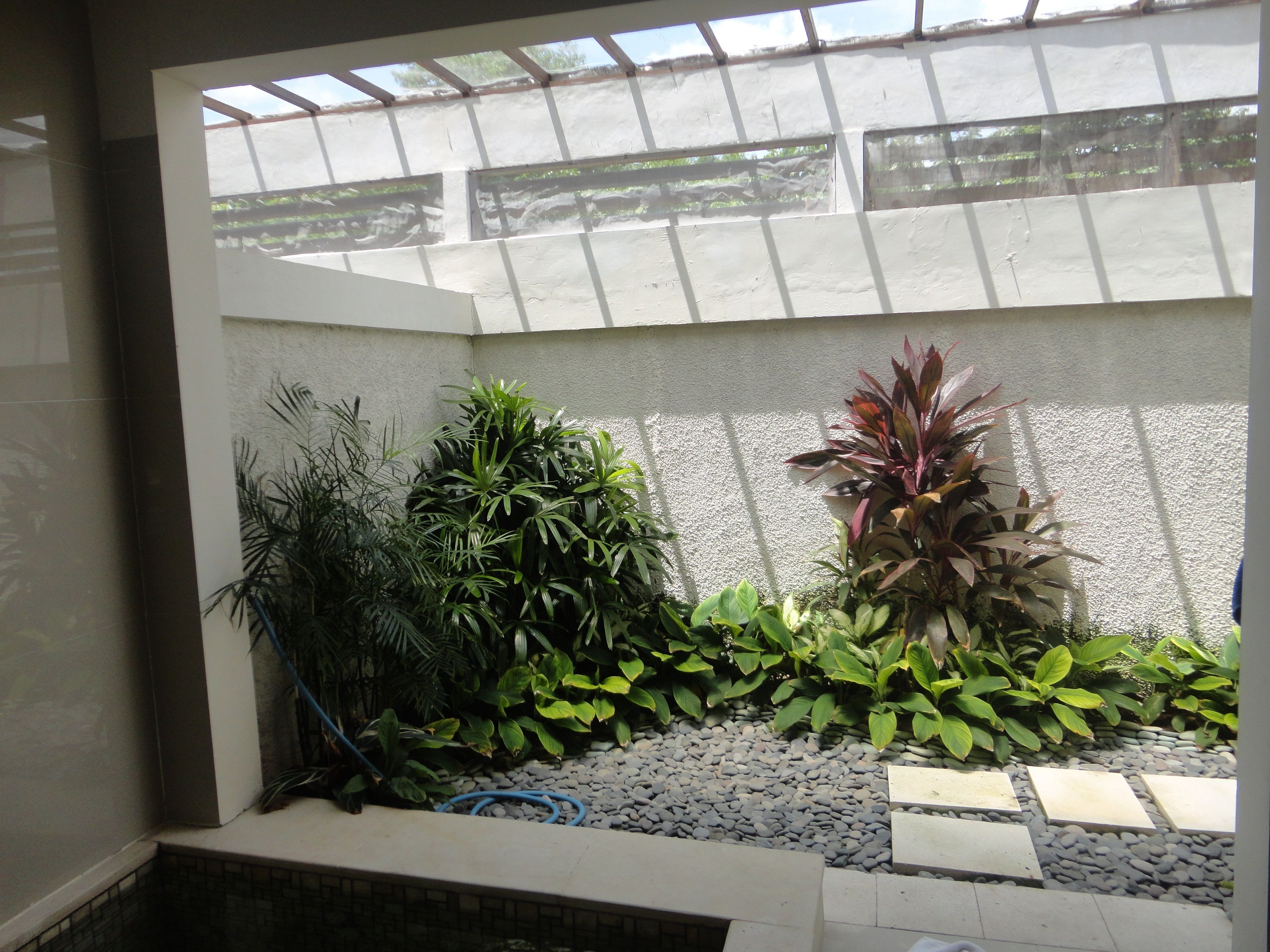 A small indoor garden with various plants and a tiled floor.