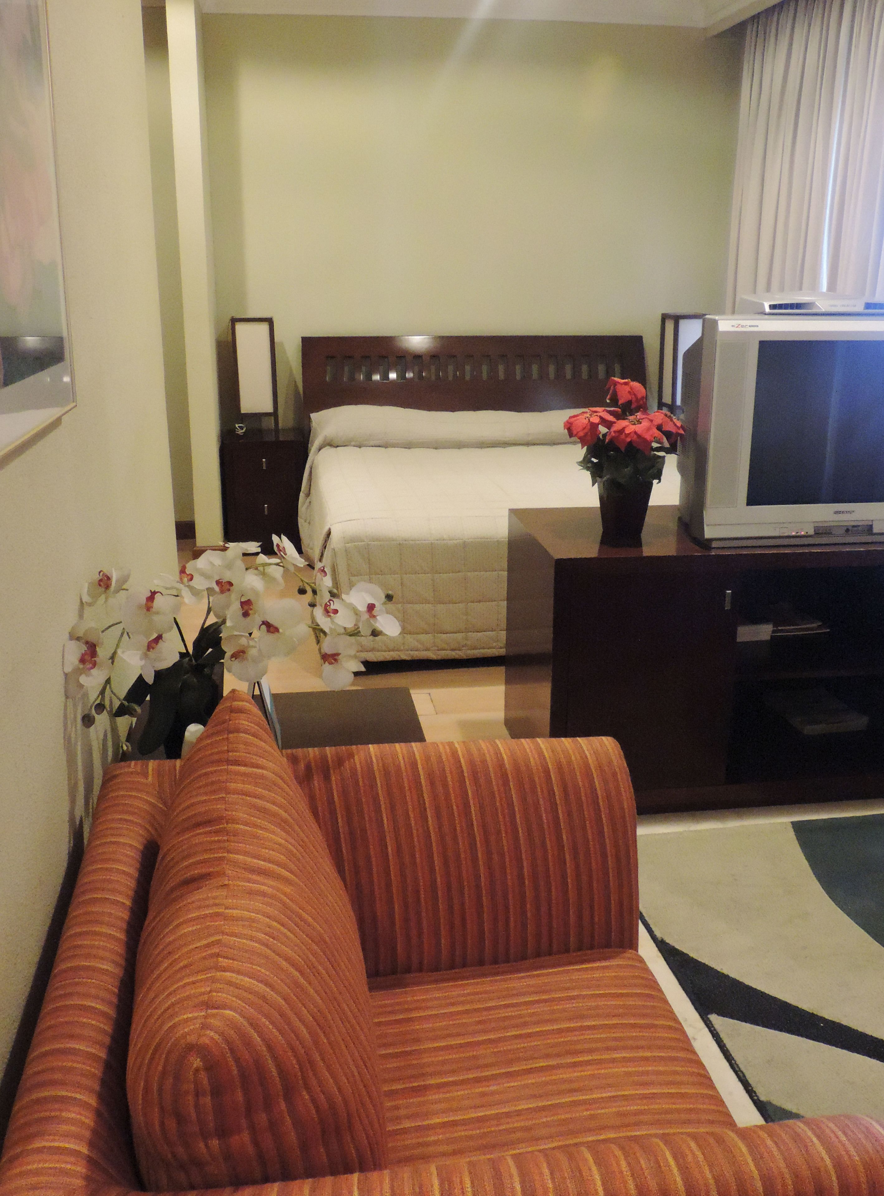 A hotel room with a bed, a TV, a sofa, and a potted plant.