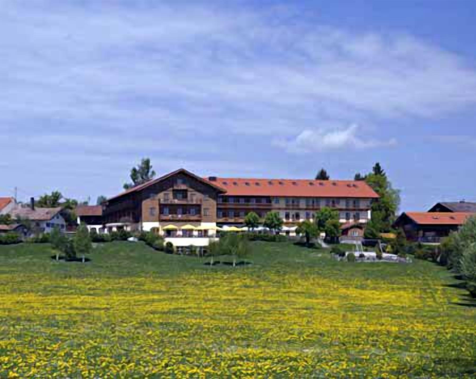 A large building with multiple balconies, surrounded by a field of yellow flowers.