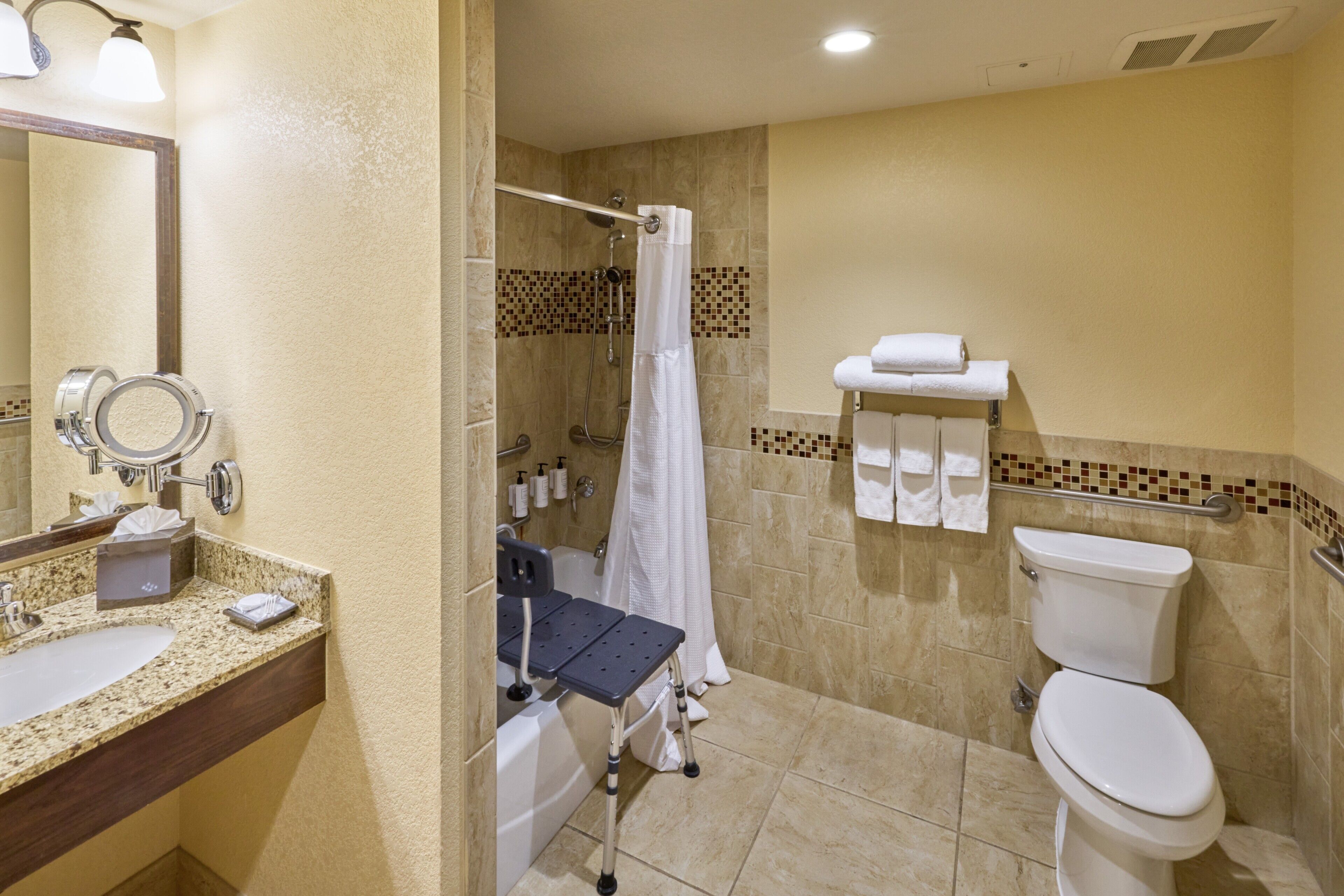 Executive Suite, 1 Katil Raja (King), mesra pergerakan, Non Smoking (Hearing, Tub w/ Grab Bars) | Bilik mandi mudah diakses
