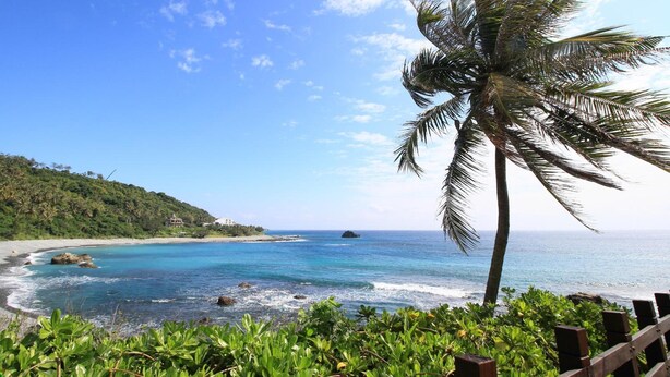 A beach with clear blue water, a palm tree, and a wooden fence. - Fu Taitung B&B (Taitung)