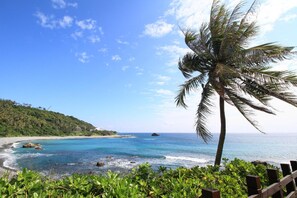 A beach with clear blue water, a palm tree, and a wooden fence. - Fu Taitung B&B (Taitung)