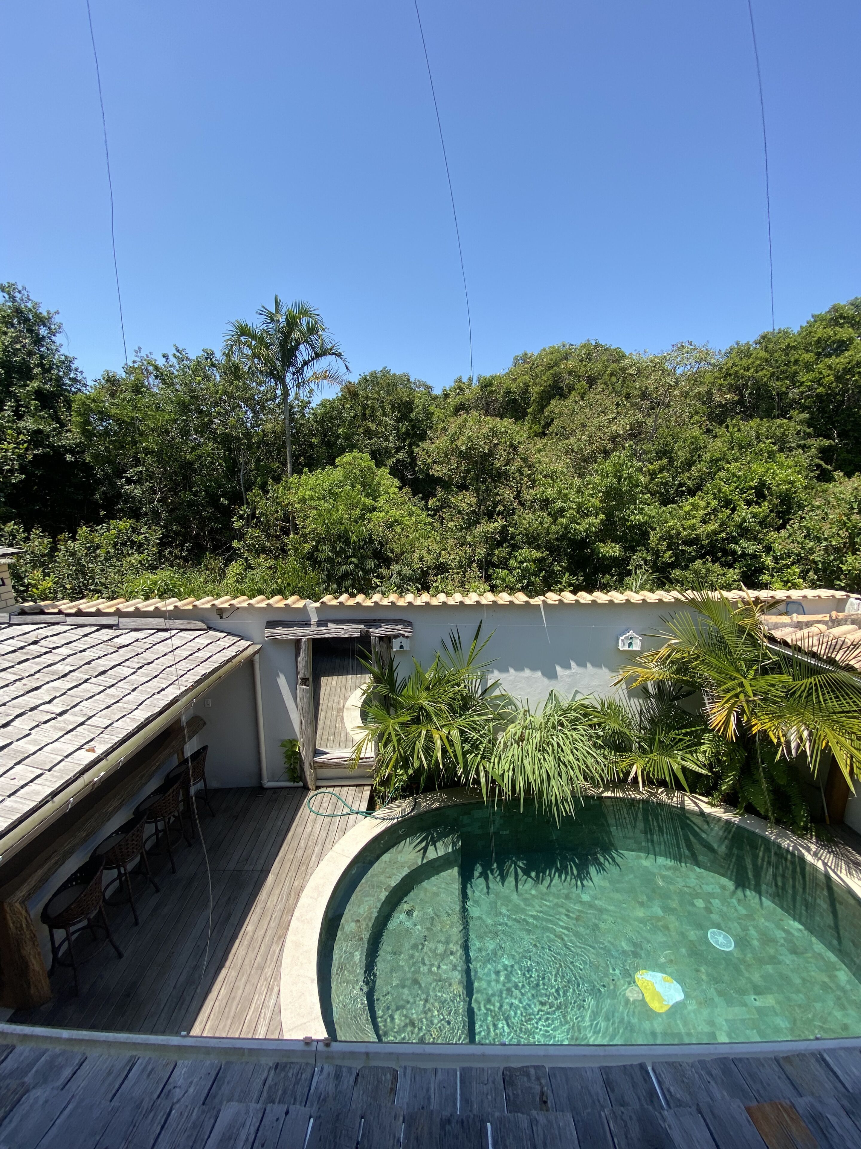 A rooftop pool with a wooden deck, surrounded by lush greenery and a clear blue sky.