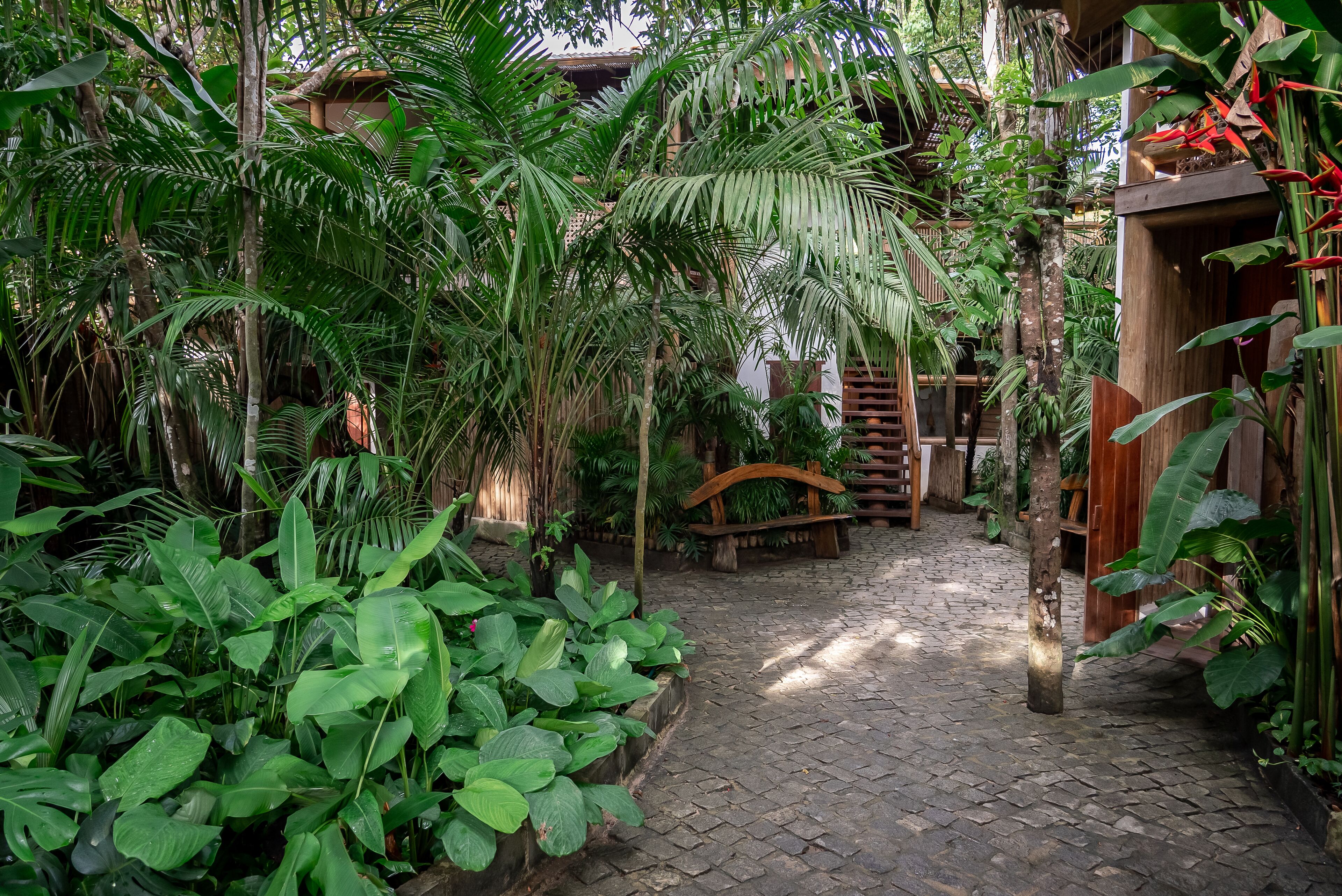 Un sentiero in pietra circondato da una rigogliosa vegetazione tropicale, che conduce a una struttura in legno con un tetto curvo.