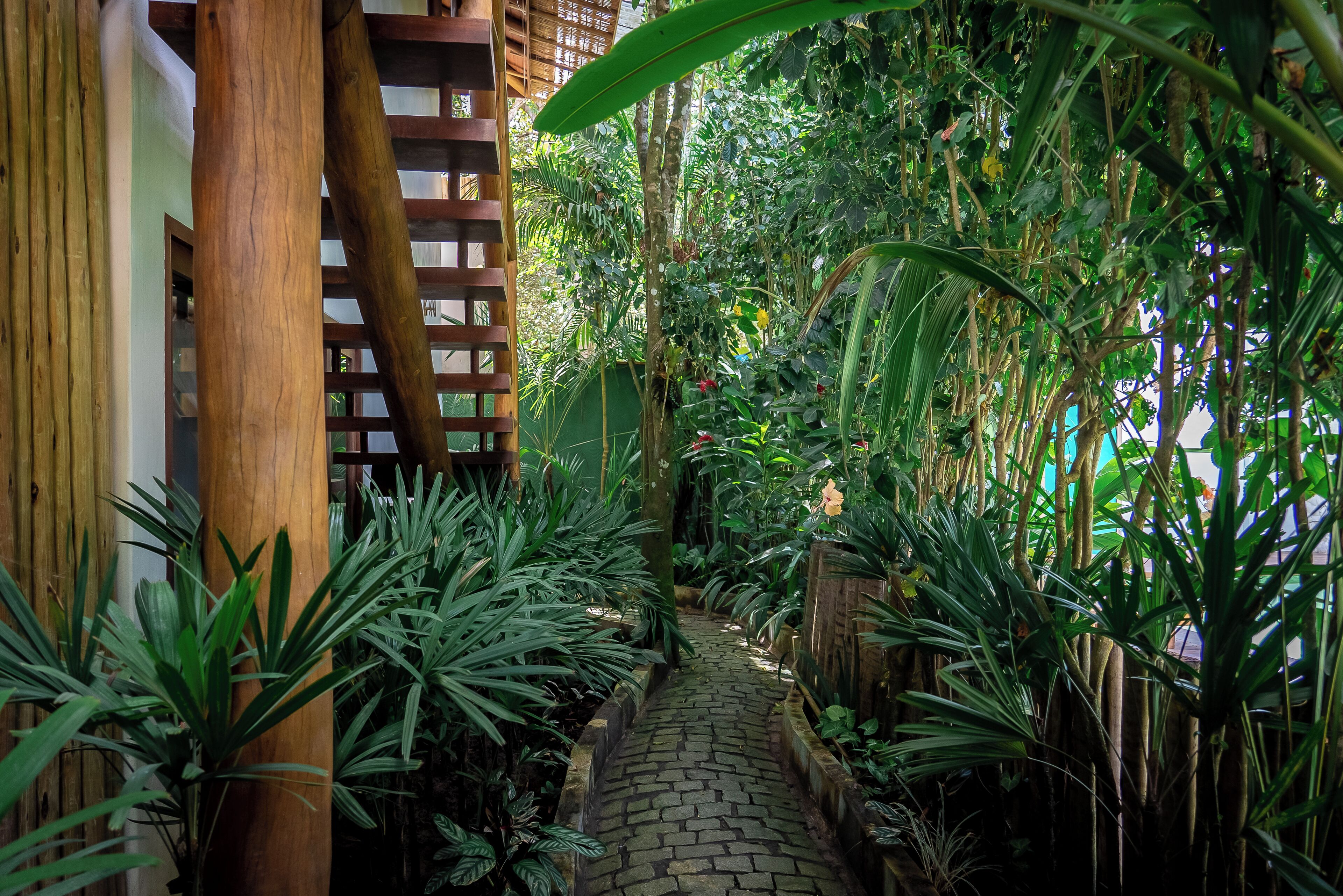 Un étroit sentier de pierre, bordé d’une végétation tropicale luxuriante et de constructions en bois, traverse un environnement dense et verdoyant.