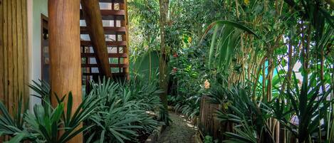 A narrow stone pathway flanked by lush tropical plants and wooden structures, leading through a dense, green environment.