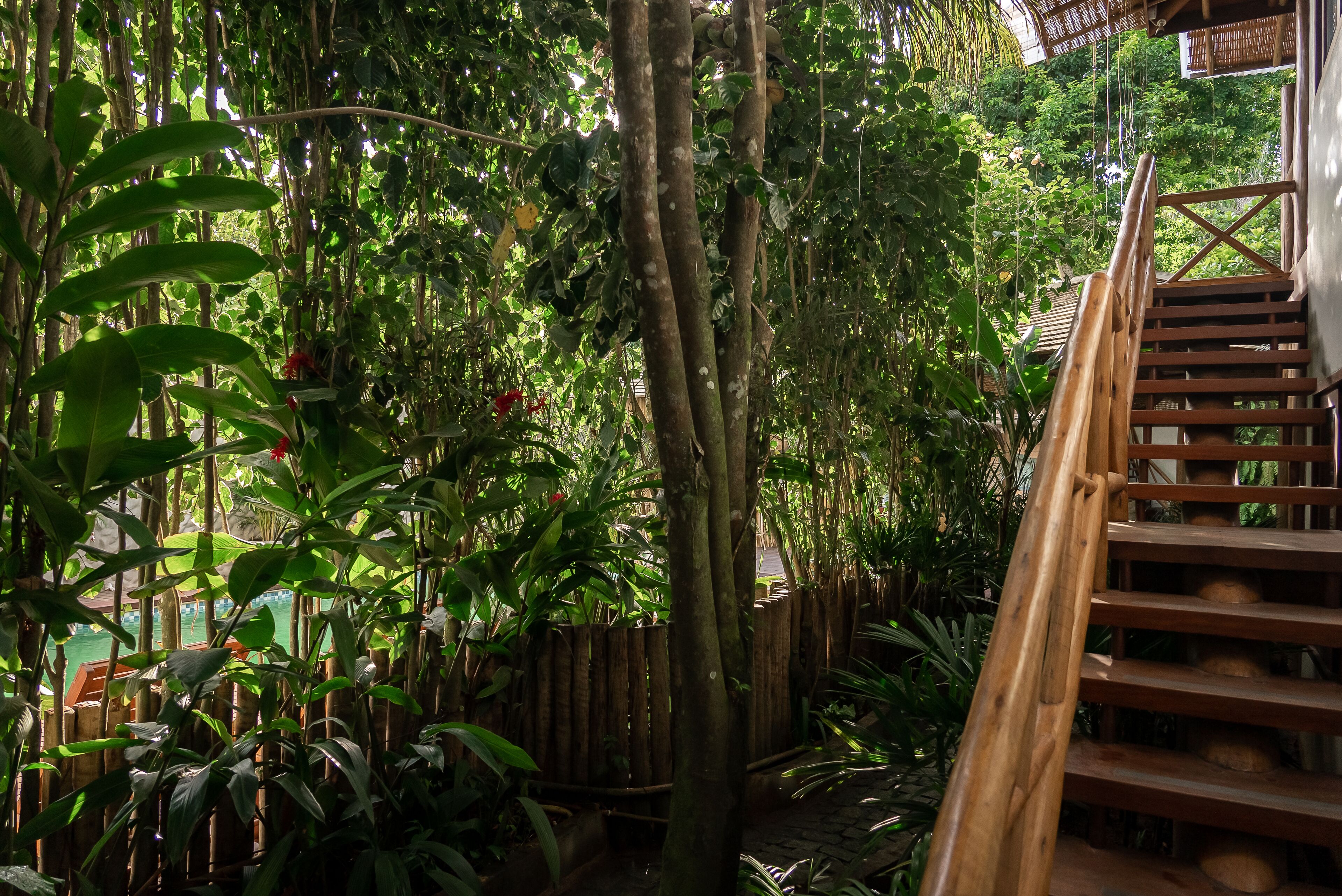 A wooden staircase leading up to a covered area surrounded by dense foliage.