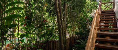 A wooden staircase leading up to a covered area surrounded by dense foliage.