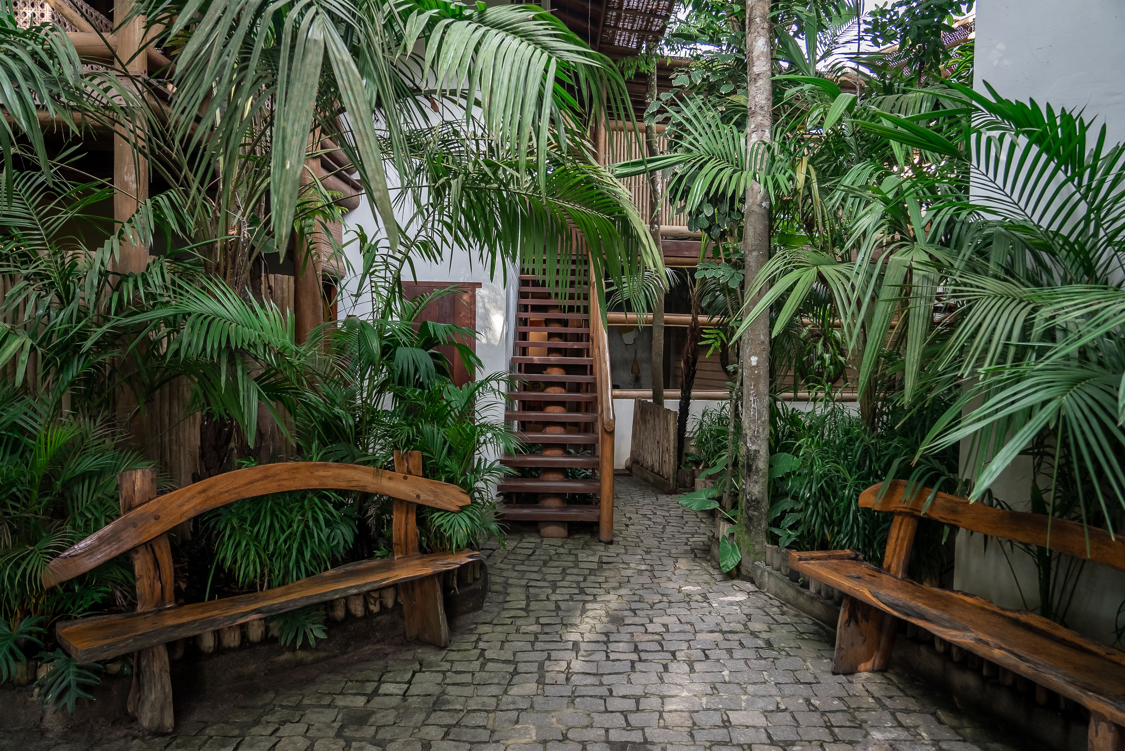 Un sendero adoquinado que lleva a una escalera de madera rodeada de exuberante vegetación tropical.