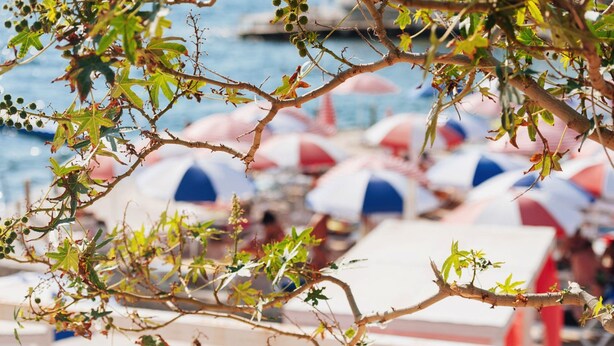 Uitzicht op het strand met parasols en een hekwerk.