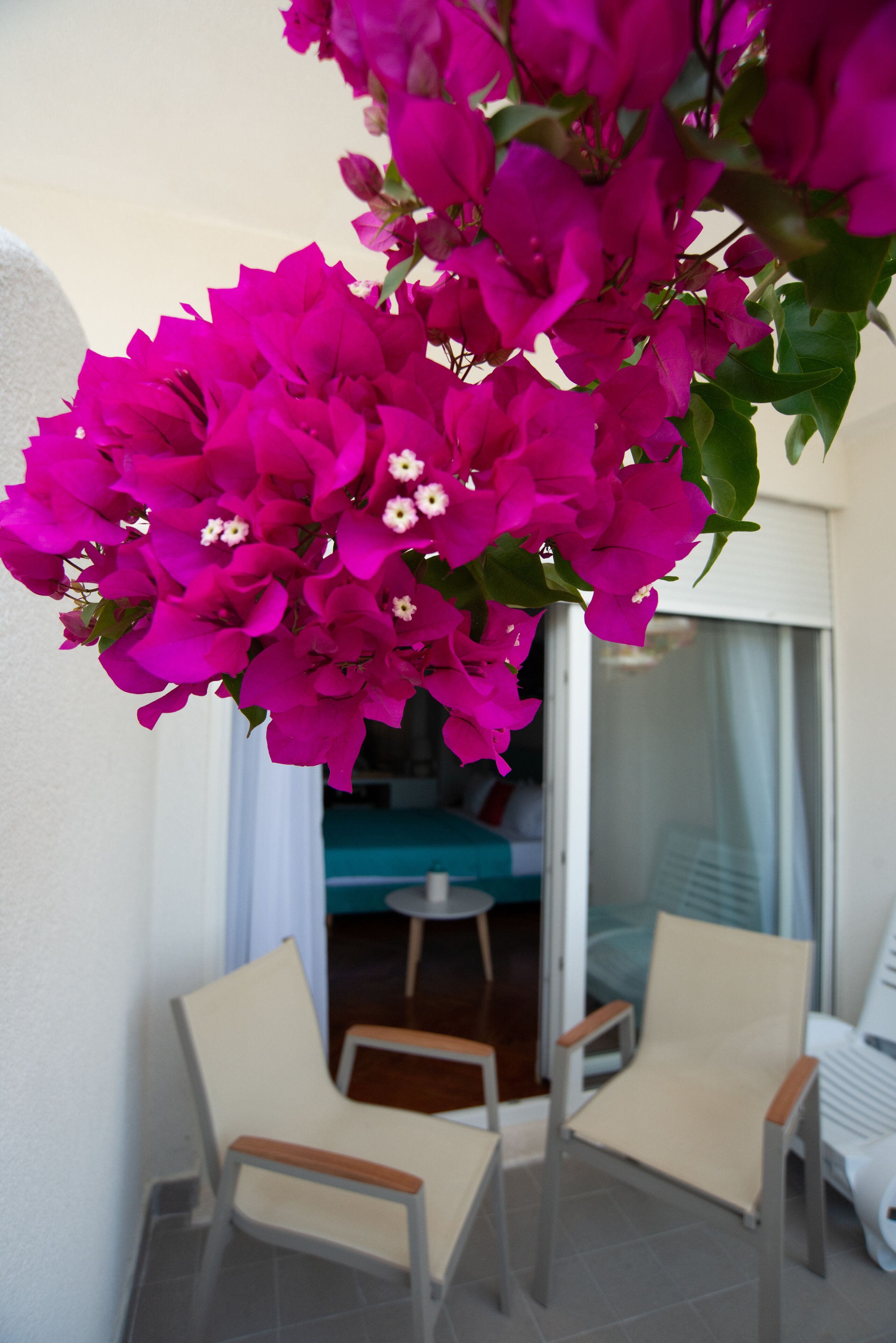 A balcony with two chairs and a table, surrounded by vibrant pink bougainvillea flowers.
