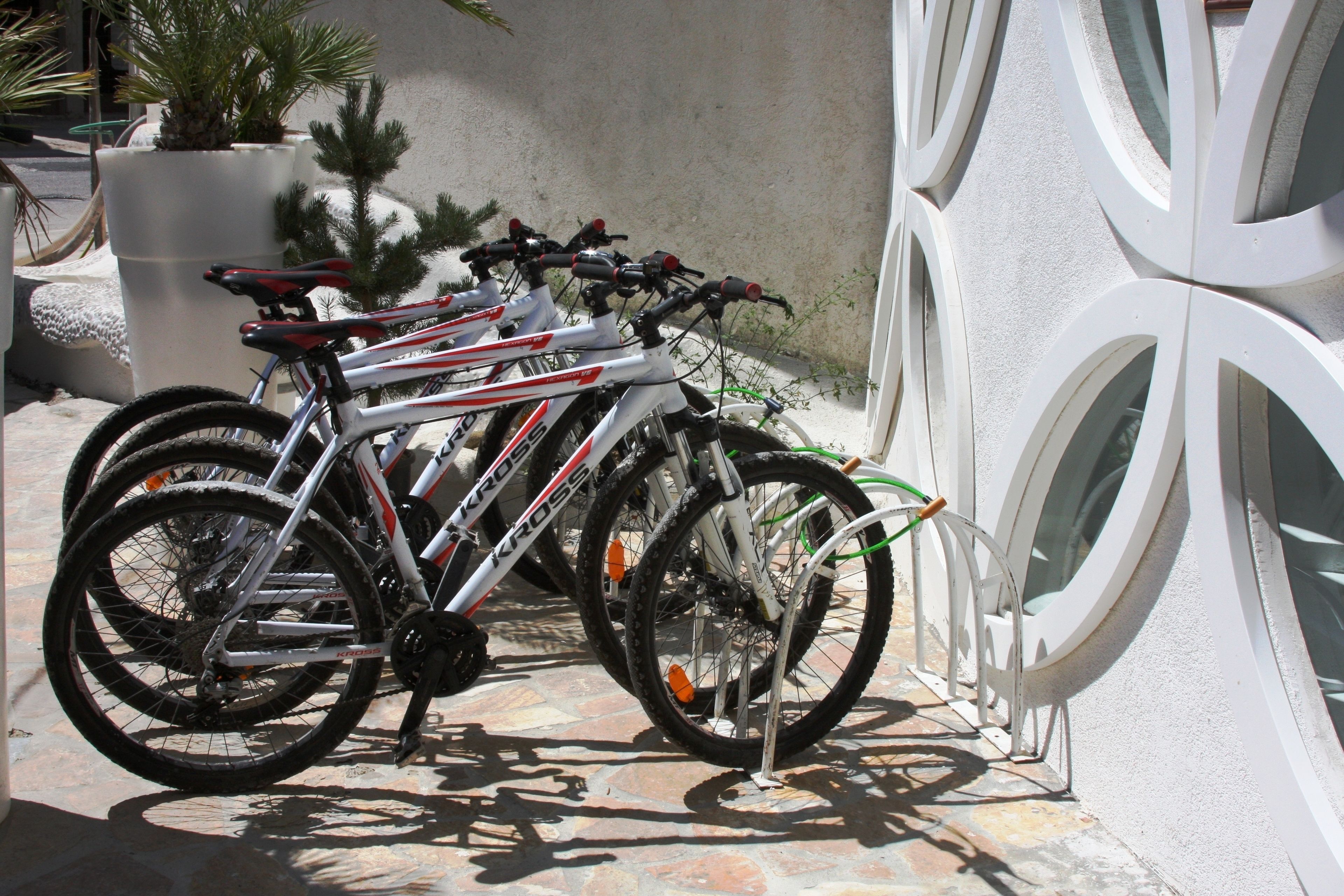 A row of bicycles parked against a building with a textured wall and a potted plant nearby.