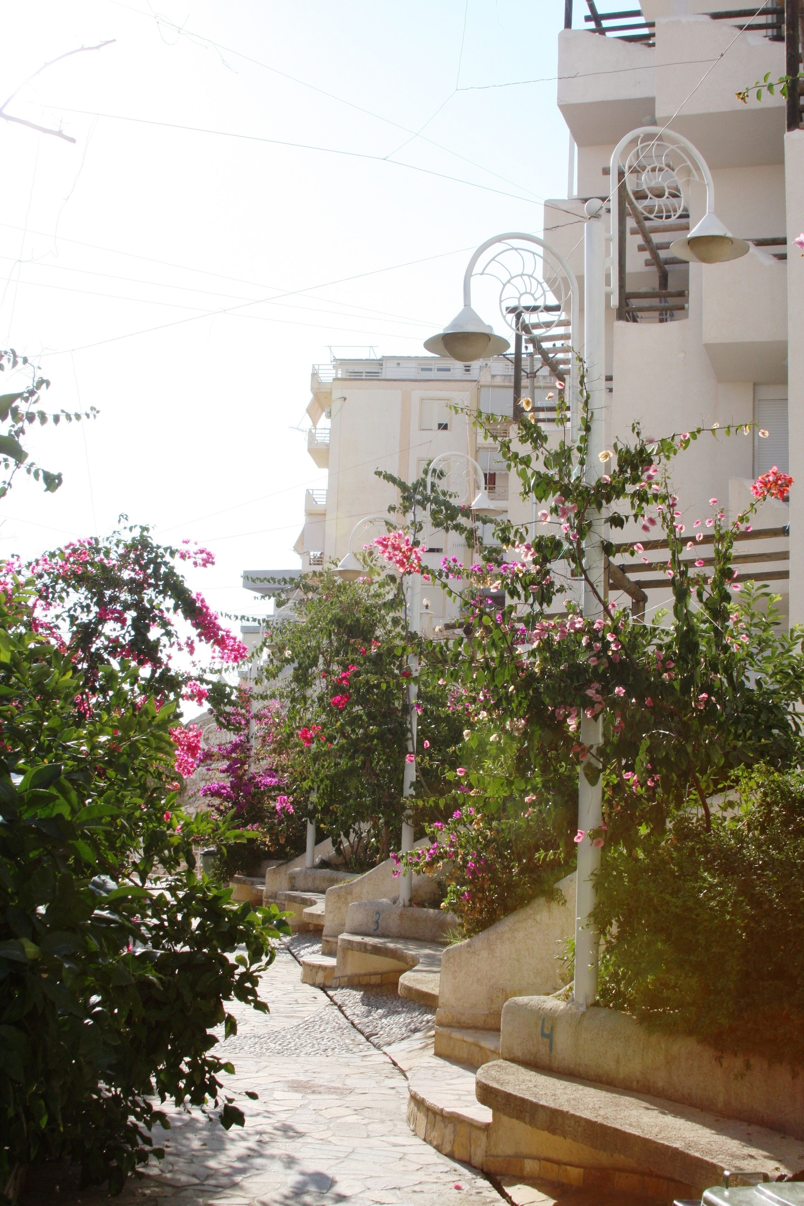 Photo - Bougainville Bay Hotel