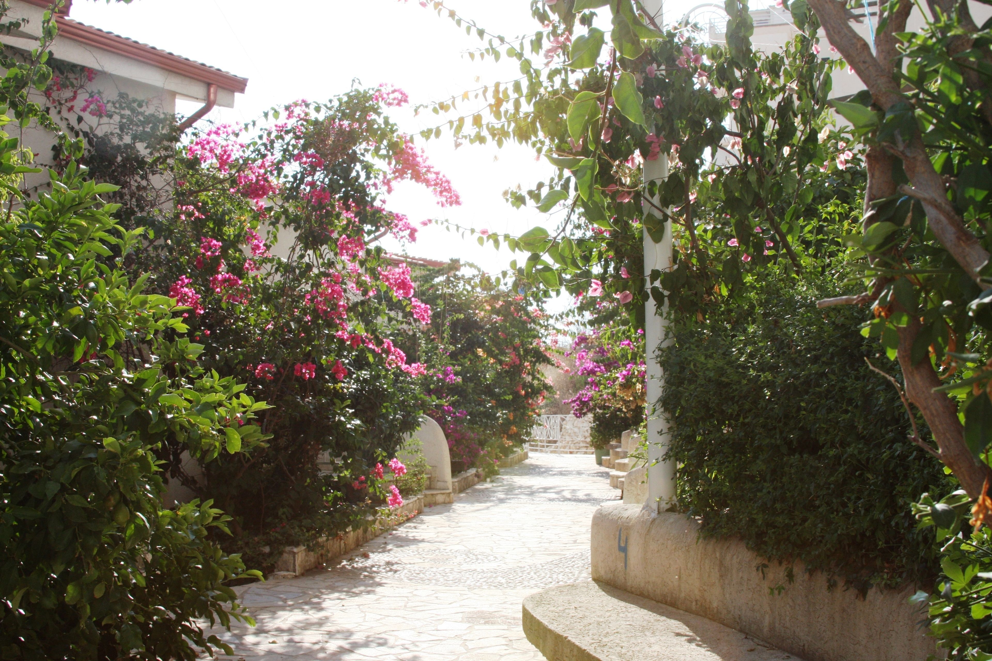 Photo - Bougainville Bay Hotel