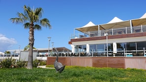Un edificio moderno con fachada de vidrio, asientos al aire libre y una palmera.