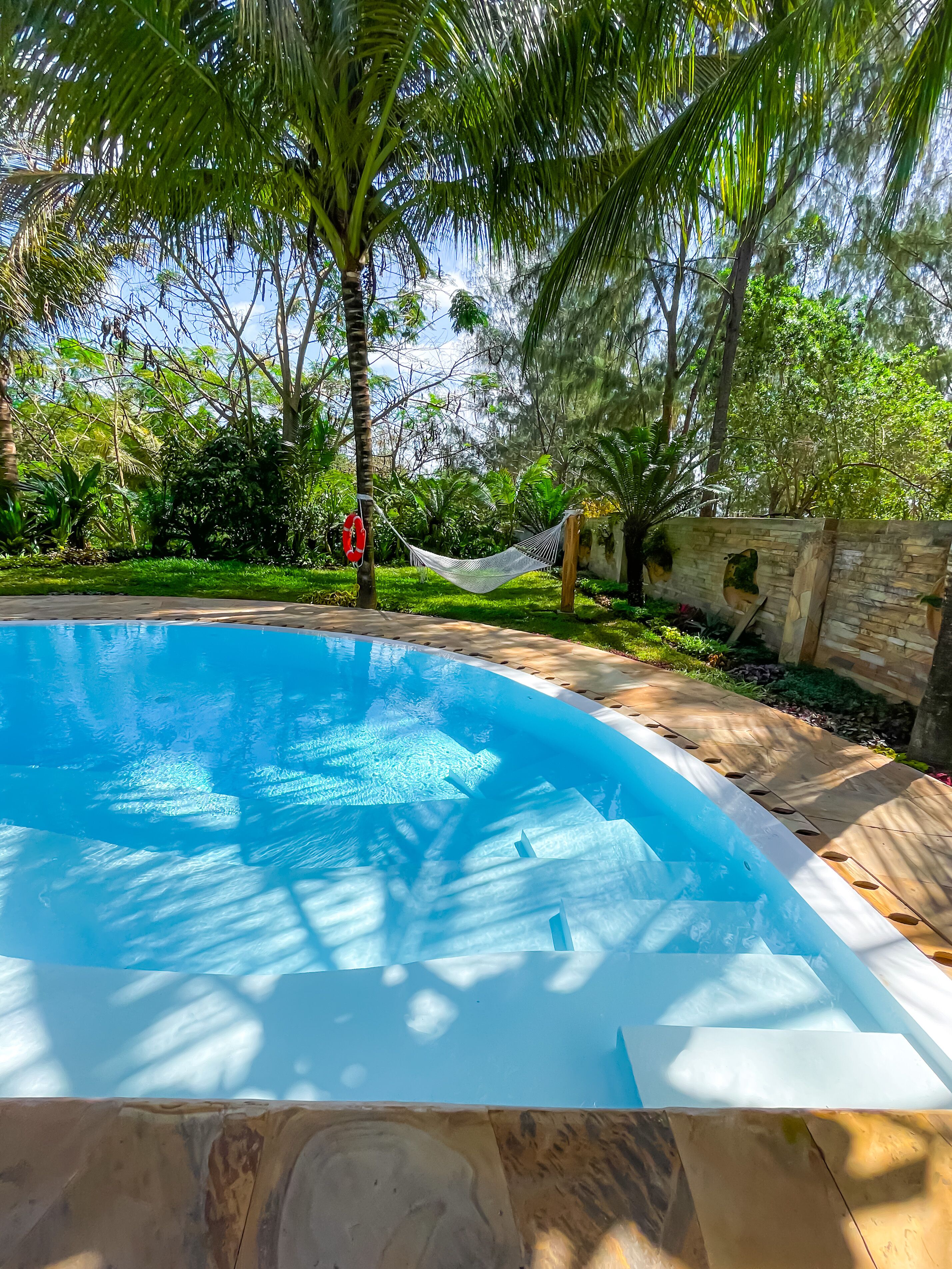 Una piscina rodeada de abundante vegetación y una hamaca.