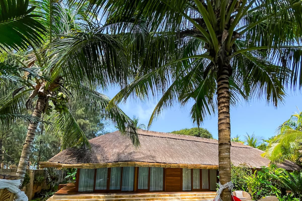 A poolside area with a hammock, a thatched-roof building, and lush greenery.