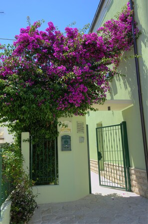 Exterior - La Casa del Nonno (Campomarino)