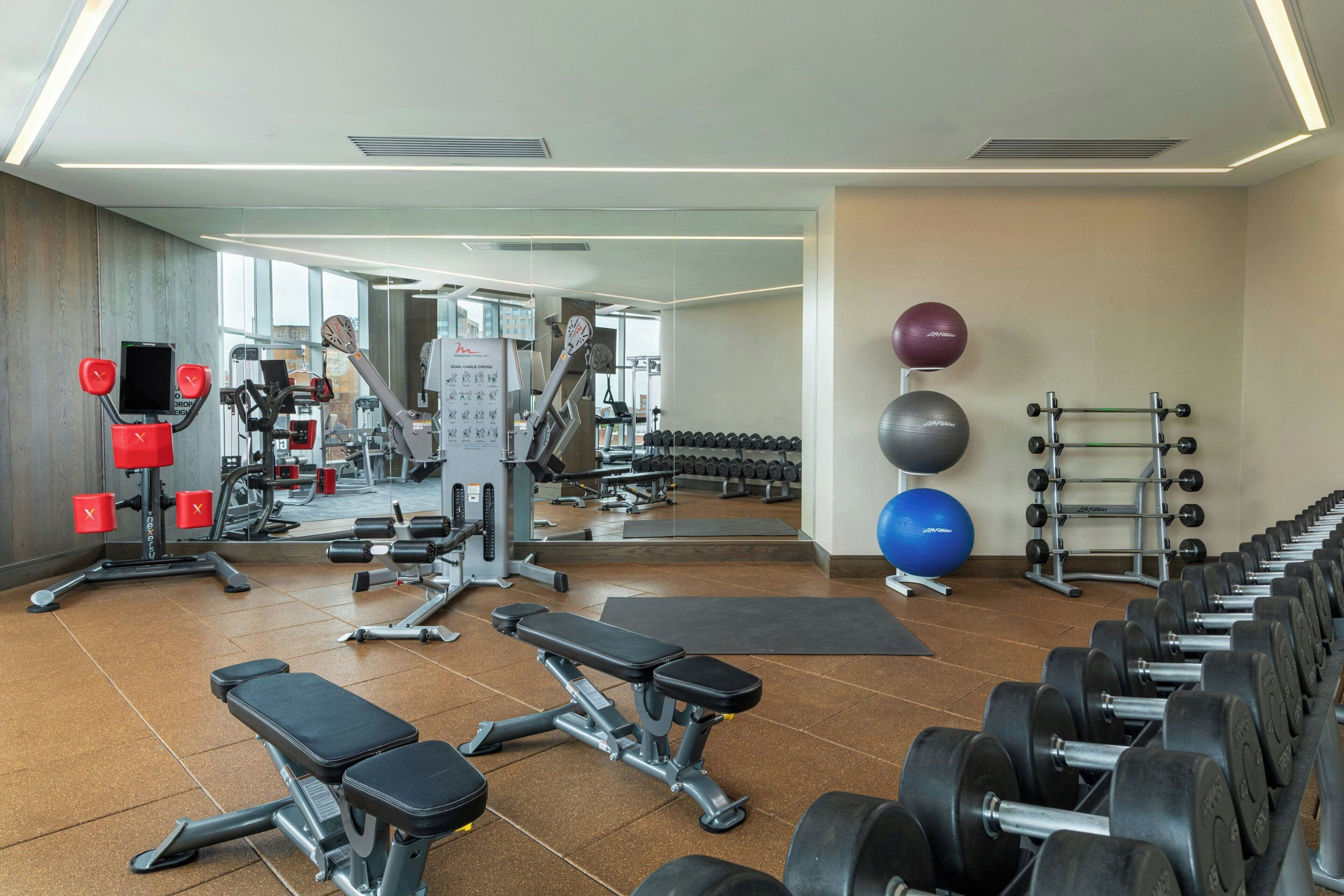 A gym with various exercise equipment, including dumbbells, a bench, and a treadmill.
