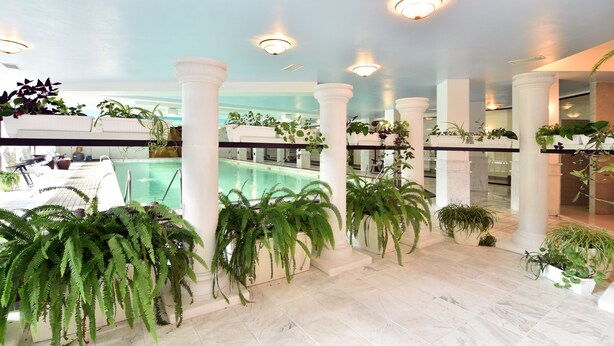 Un espacio interior amplio con piscina, columnas blancas y diversas plantas en macetas.