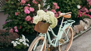 En gammal cykel med en korg, parkerad på en uppfart med en veranda och blommande växter i bakgrunden.