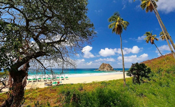 Plage, parasols, serviettes de plage