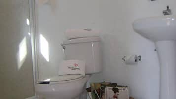 Regadera y toallas