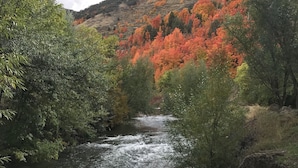 A river flowing through a forested area with autumn-colored trees and rocky terrain. - Lava Spa Motel & RV Park (Lava Hot Springs)