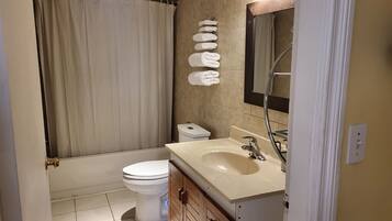 Une salle de bain avec des toilettes, un lavabo et une douche.