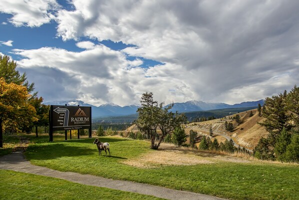 A sign for Radium Resort with a mountain backdrop. - Gables Motel (Radium Hot Springs)