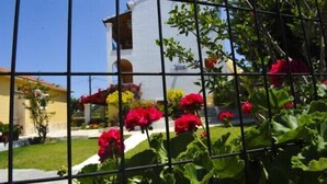 Property grounds - Irene Apartments (Corfu)