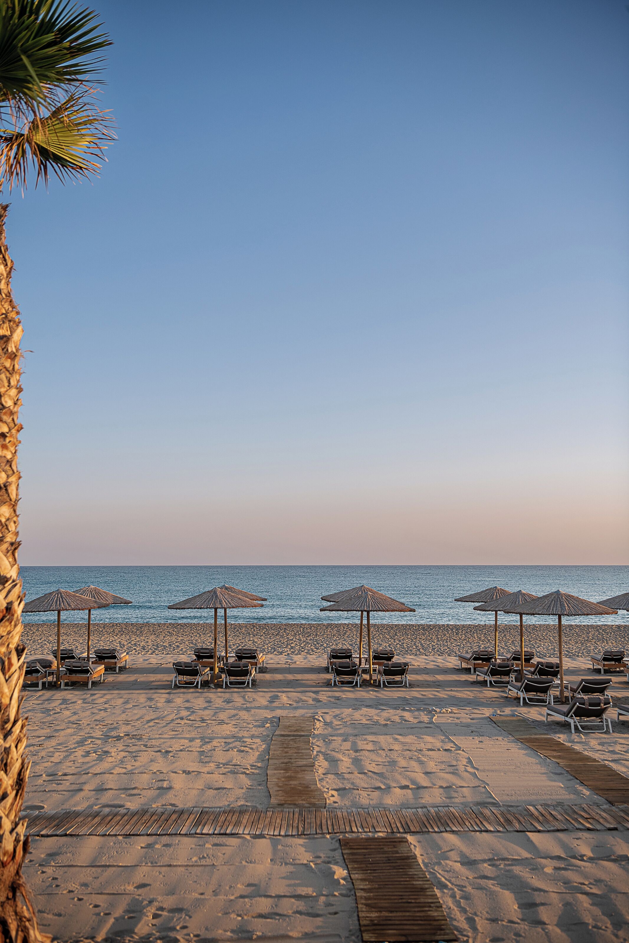 Een strand met rijen ligbedden en rieten parasols, een palmboom en een heldere lucht.