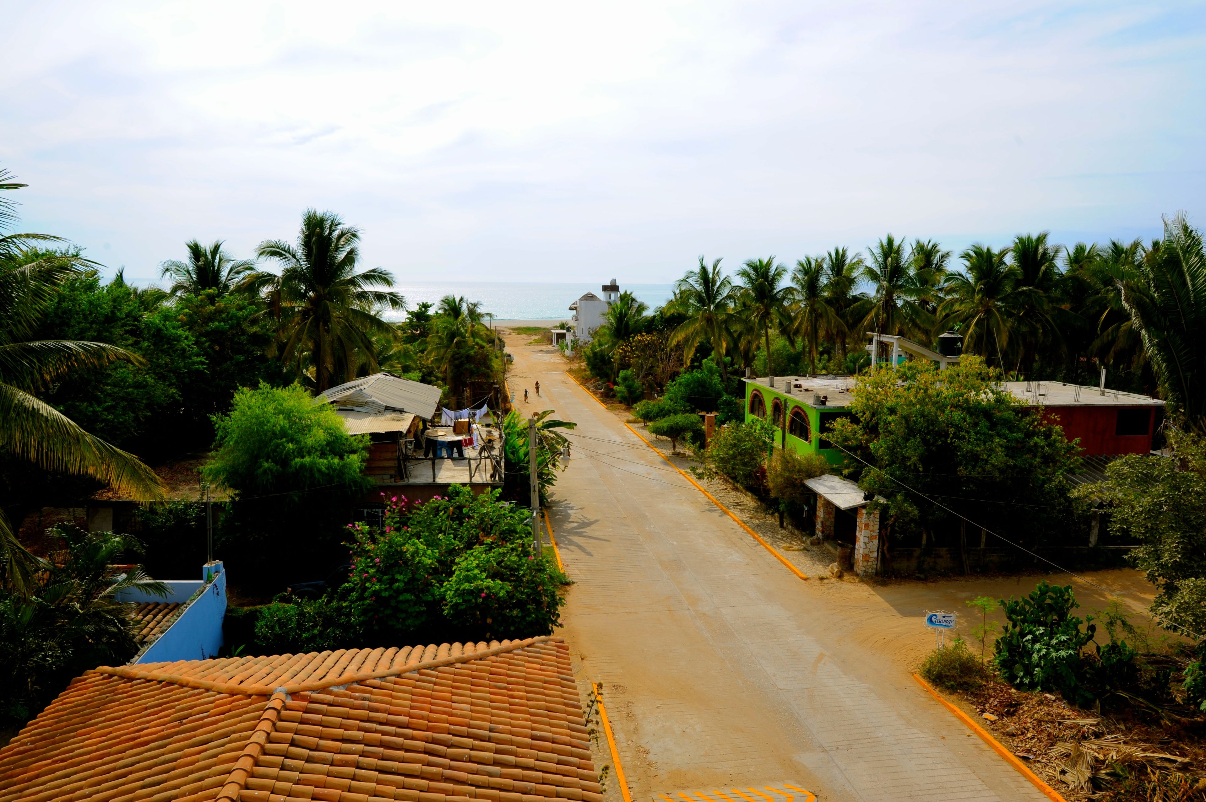 A coastal street lined with palm trees and houses, leading to the beach.