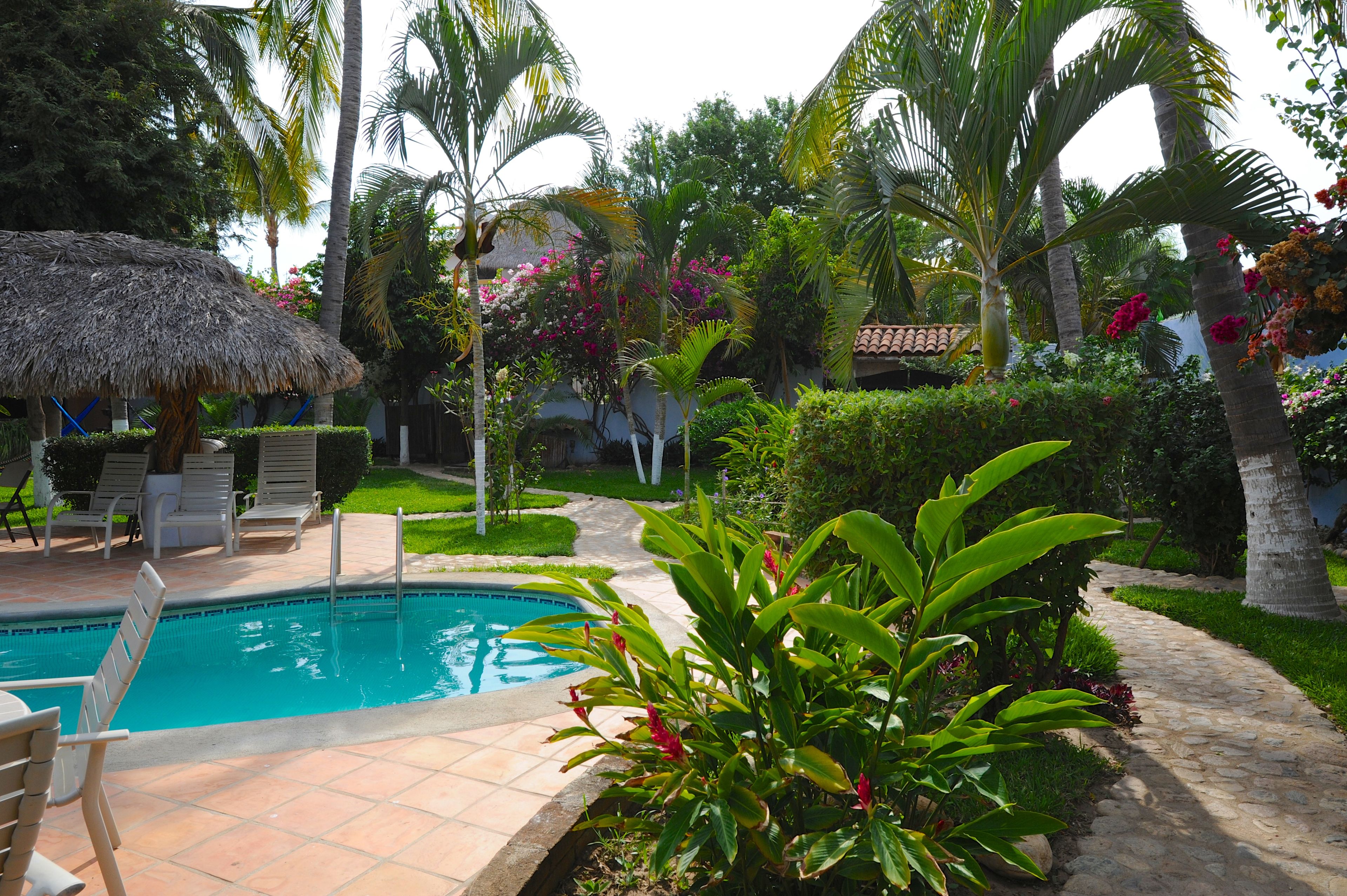 Une piscine entourée de chaises longues, de plantes tropicales et de palmiers.
