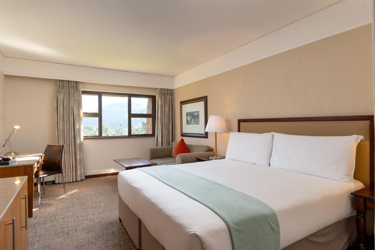 A hotel room with a large bed, a desk, a chair, a sofa, and a window with a view.