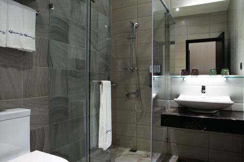 Hair dryer, slippers, electronic bidet, towels