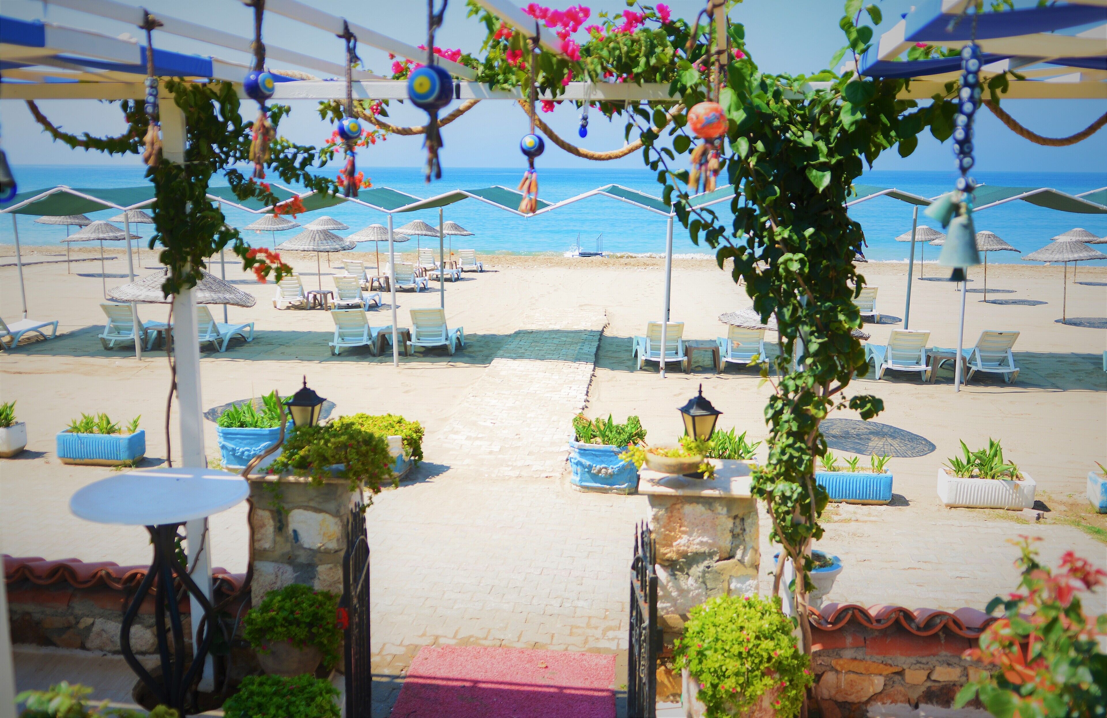 Un patio frente a la playa con sillones de descanso, sombrillas y plantas en macetas.