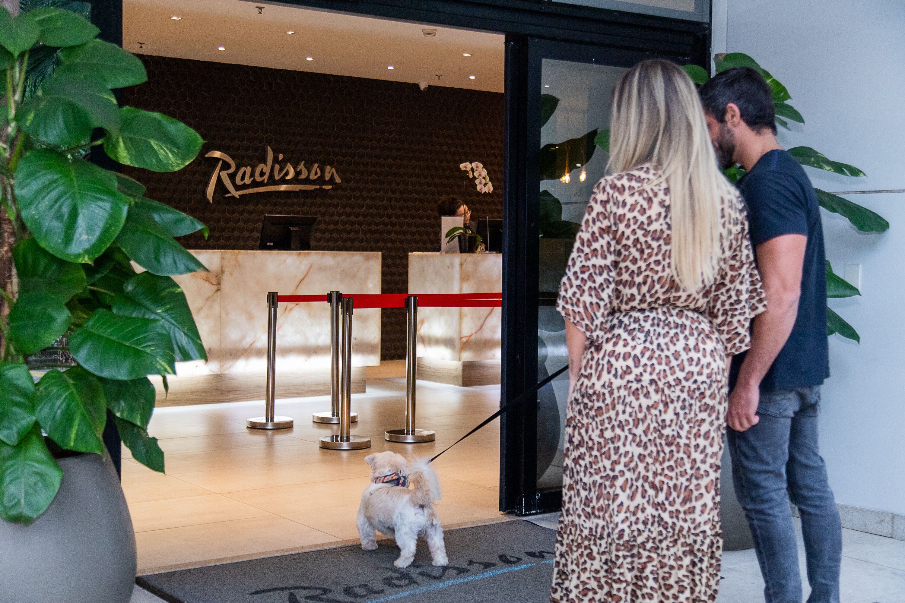 pet-friendly amenities