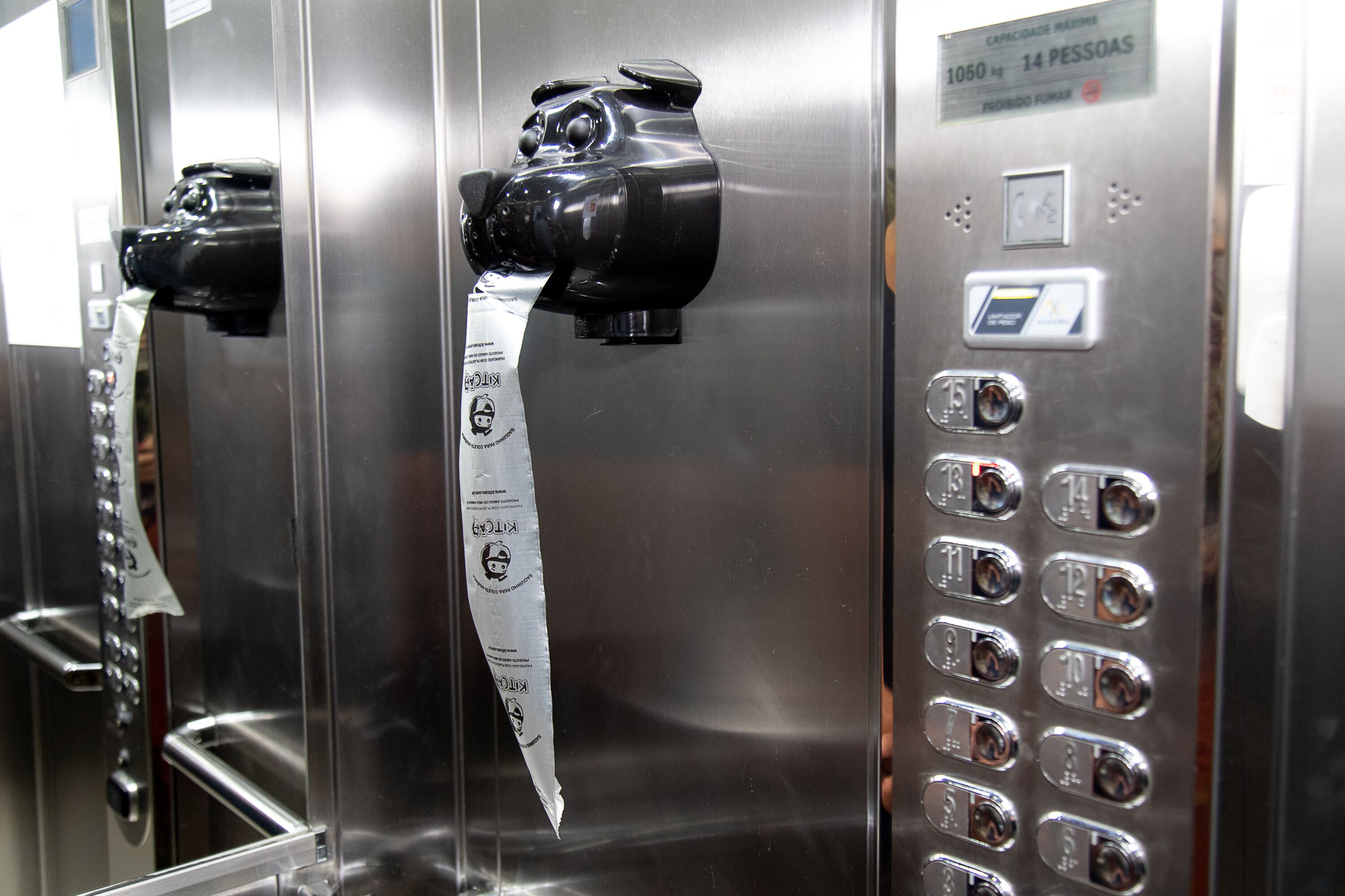 pet-friendly amenities